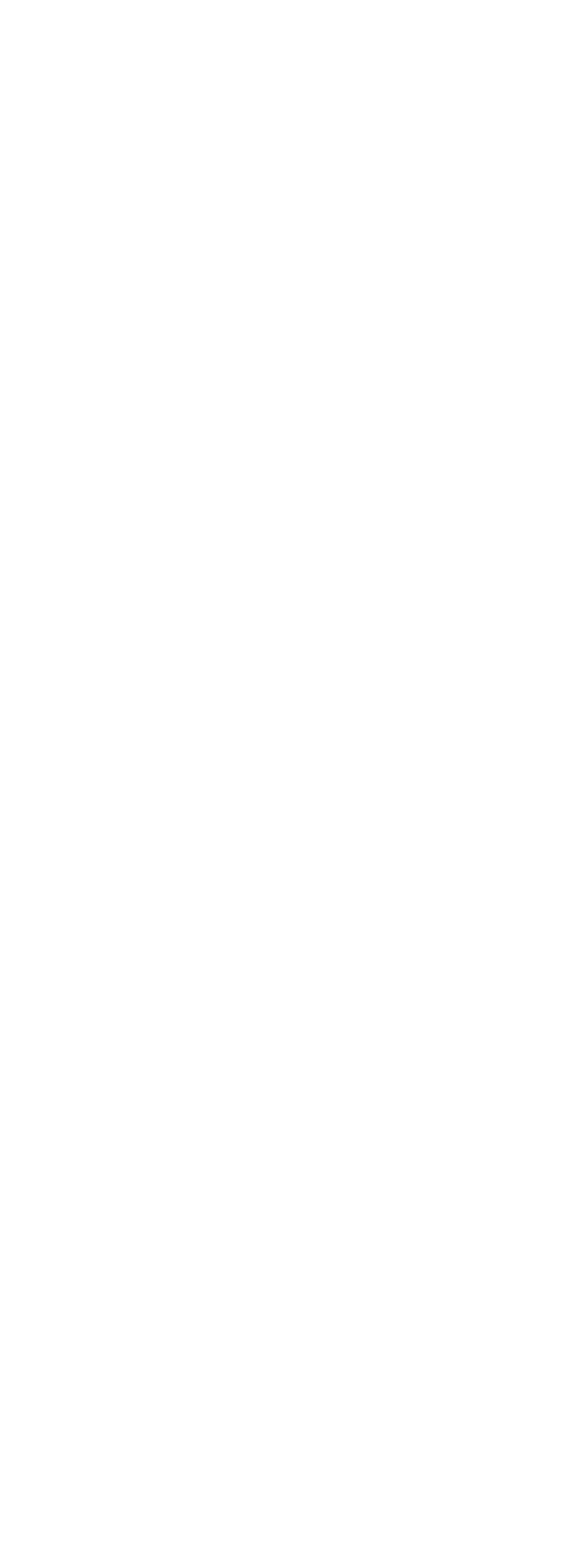 Rough Terrain Forklift APEX25-2WD